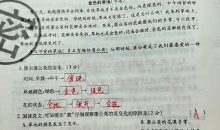 三年级语文期末试卷命题原则 三年级上册语文期末考试卷